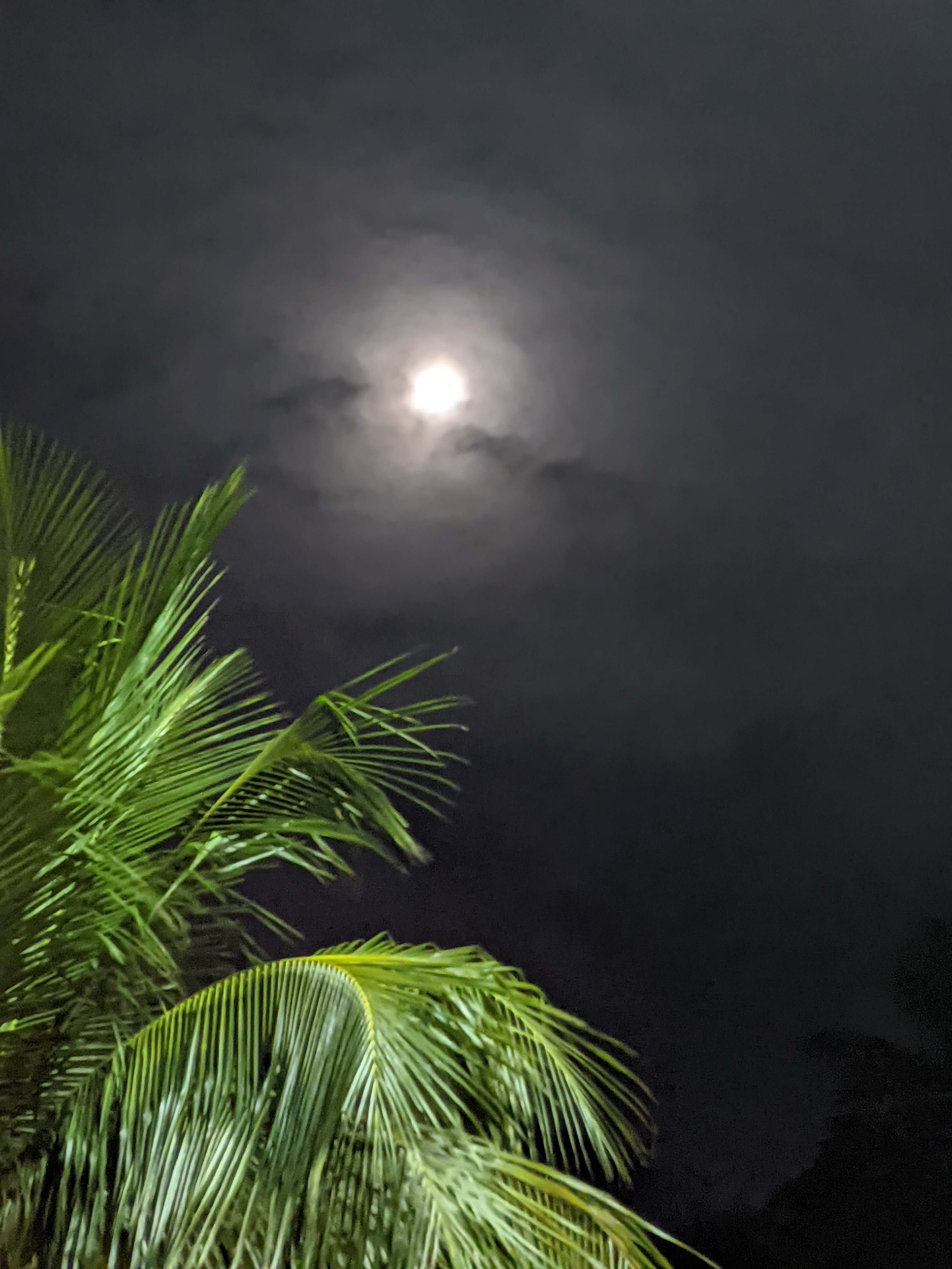 Moon ritual