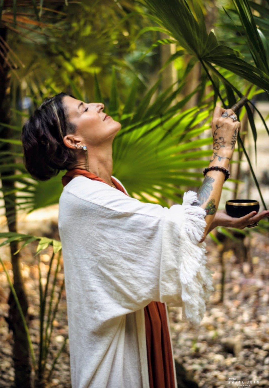 HAYVN Healing practitioner